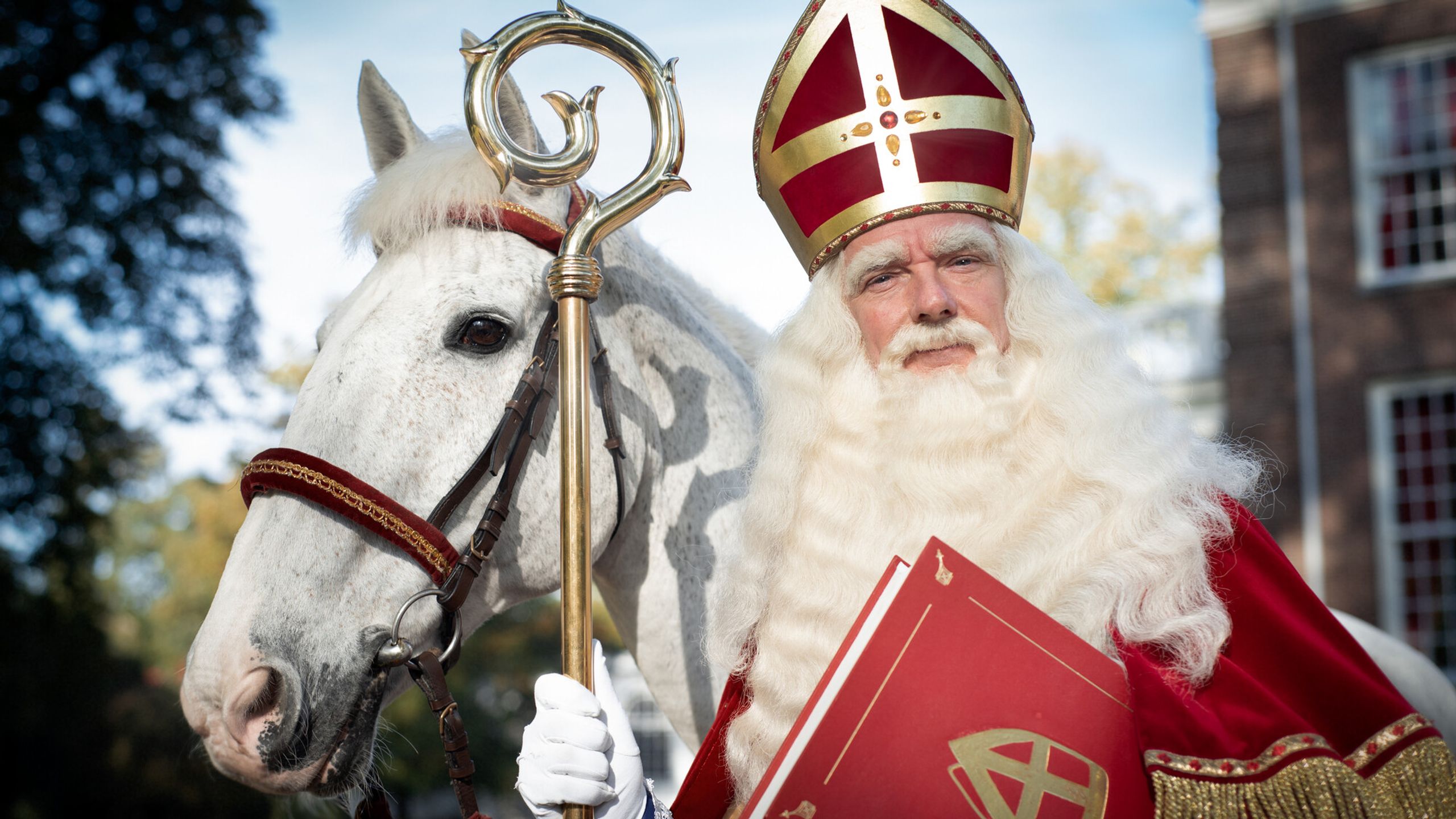 Sint En Het Verdwenen Kruid De Zaansche Molen